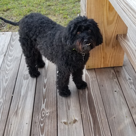 Meet your Posher, Mary beth - Picture 1 of 1